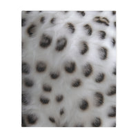 Black and White Animal Print Velveteen Microfiber Blanket (Two-sided print)