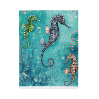Velveteen Plush Blanket, Sea Horse Kids Blanket, Green Blue Blanket, Ocean Theme Throw, Children's Bedroom Decor, Cozy Nursery Bedding
