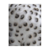 Black and White Animal Print Velveteen Microfiber Blanket (Two-sided print)