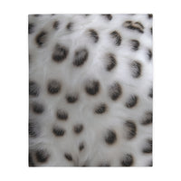 Black and White Animal Print Velveteen Microfiber Blanket (Two-sided print)